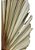 Folha De Latania Com Avaria Decoração Enfeite Ornamentação - Imagem 4