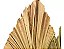 Folha De Latania Com Avaria Decoração Enfeite Ornamentação-2UN - Imagem 6