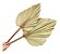 Folha De Latania Com Avaria Decoração Enfeite Ornamentação-2UN - Imagem 4