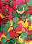 Folha Moeda Mista Seca Natural Decoração- 350 Folhas - Imagem 1
