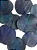 Folhas Azul Secas Desidratadas  Decoração Enfeite - Imagem 4