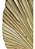 Folhas De Latania Com Avaria Decoração Seca Natural-6UN - Imagem 6