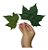 Folhas De Plátano Pintada Verde Seca Decoração Enfeite - Imagem 2