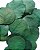 Folhas Moeda Secas Desidratadas Verde Escuro- 350 Folhas - Imagem 1
