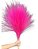 Capim Rabo De Burro Natural Rosa Pink Decoração Enfeite - Imagem 3