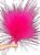 Capim Rabo De Burro Natural Rosa Pink Decoração Enfeite - Imagem 2