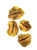 Casca Boca de Sapo Semente Enfeite Decorações - Imagem 1