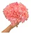 Flor De Hortência Rosa Seca Natural Decoração - Imagem 4