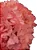 Flor De Hortência Rosa Seca Natural Decoração - Imagem 3