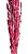 Flor De Rubi Seca Rosa Pink Pintada Maço Com 5 Varas Decoração Enfeite - Imagem 3