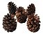 Kit 6 Pinha Natural Decorativa + Guirlanda De Cipo Enfeite - Imagem 5