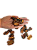 Semente Cinzeirinho Seca para Decoração Enfeite - Imagem 2