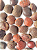 Semente Olho De Boi Natural Seca Decoração Enfete Presente - Imagem 2
