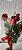 Buquê de Rosas Vermelhas - 03 Rosas - Imagem 2