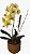 Orquídea Amarela em Cachepô de Cerâmica Esmaltada - Imagem 1