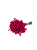 Sempre Viva Florzinhas  Rosa Pink 500 Unidades - Imagem 2