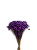 Sempre Viva Florzinhas Lilas 500 Unidades - Imagem 1