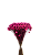 Sempre Viva Florzinhas Rosa 500 Unidades - Imagem 1