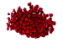 Sempre Viva Florzinhas Vermelha 500 Unidades - Imagem 3