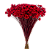 Sempre Viva Florzinhas Vermelha 500 Unidades - Imagem 1