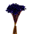 Sempre Viva Florzinhas Roxa 500 Unidades - Imagem 1