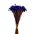Sempre Viva Florzinhas Roxa 500 Unidades - Imagem 4