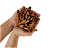 canela em pau Seca para Decoração Enfeite - Imagem 1
