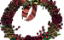 canela em pau Seca para Decoração Enfeite - Imagem 5
