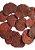 Folha Moeda Marrom Seca Natural Decoração 100g - Imagem 2