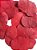 Folhas Moedas Secas Decorativas Para Pout Pourrit 30  Gramas - Imagem 8