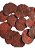 Folhas Moedas Secas Decorativas Para Pout Pourrit 30  Gramas - Imagem 2