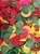 Folhas Moedas Secas Decorativas Para Pout Pourrit 30  Gramas - Imagem 6