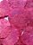 Folhas Moedas Secas Decorativas Para Pout Pourrit 30  Gramas - Imagem 9