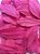 Folhas Moedas Secas Decorativas Para Pout Pourrit 30  Gramas - Imagem 10