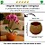Vaso Cachepot De Cerâmica Esmaltado Mini Bojudo Decoração - Imagem 2