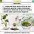 Pedrinha Branca Dolomita N 0 Vaso Jardim Aquário 1kg - Imagem 4
