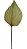 Folha Latania Natural Seca P/arranjos E Decoração 1 Un 30cm - Imagem 3