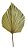 Folha Latania Natural Seca P/arranjos E Decoração 1 Un 30cm - Imagem 2