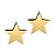 Brinco Estrela Lisa – Banhado a Ouro 18k - Imagem 1