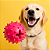 Brinquedo Bola Adestradog - Imagem 1