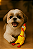 Brinquedo Cão Mordedor Galinha 16,5cm - Imagem 1