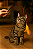 Brinquedo - Varinha com penas para gatos - Imagem 1