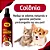 Deo Colônia Genial Pet Cereja & Aveia 110ml - Imagem 3