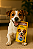 Sache Pedigree Frango ao Molho - 100g - Imagem 1
