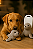 Brinquedo Napi Pelúcia Foca para Cães -18cm - Imagem 1