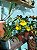 Orquídea Oncidium Pingo de Ouro - Imagem 3