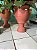 Vaso Taça G - Imagem 1