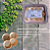 Tarteletes / Barquetes Para Porções  390 Unid. - Imagem 5