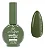 Esmalte Gel Verde Faz Todo Sentido Anylovy 10g - Imagem 1