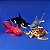 Kit fundo do mar - Imagem 1